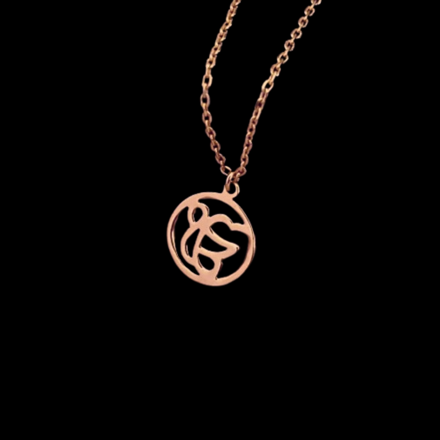 Ek Onkar Necklace in 92.5 sterling silver